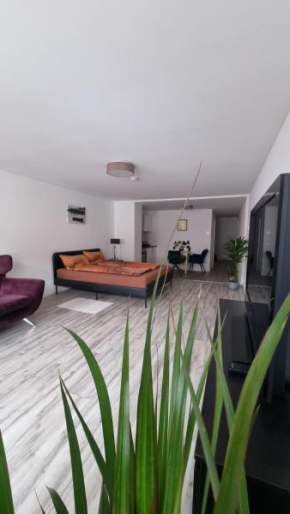 Studio- Gemütlich, Charmant, Zentral